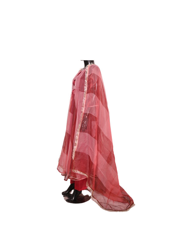 organza mehroon